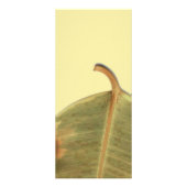 Kaart met groen verlaten rack (Achterkant)