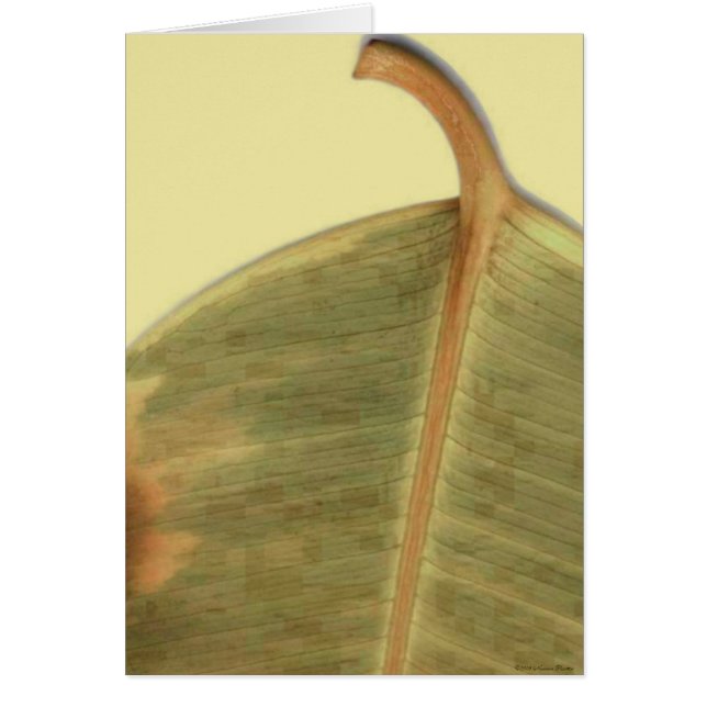 Kaart met groen verlof (Voorkant)