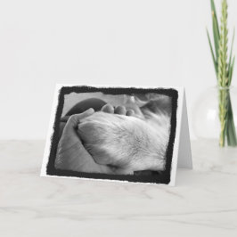 Kaart met handmatige invoer