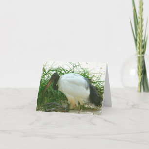 Kaart met houtsnek Foto gevouwen notitie