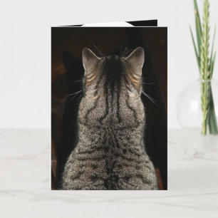 Kaart met kat die "VERRASSING! GEFELICITEERD MET J