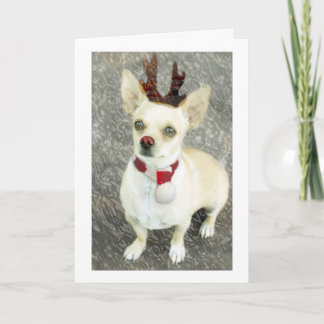 Kaart met Kerstmis Chihuahua