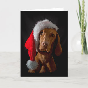 Kaart met kerstmis "Magyar Vizsla"