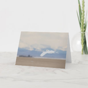 Kaart met kleine, 4 x 5,6 inch