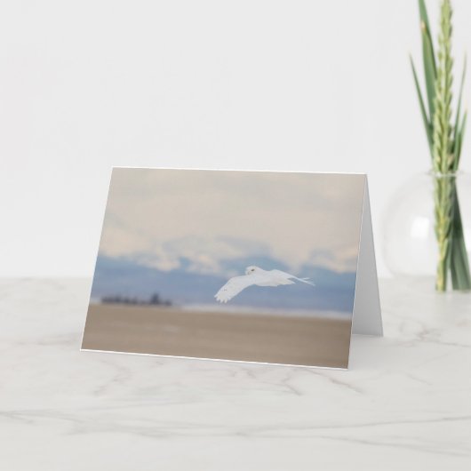 Kaart met kleine, 4 x 5,6 inch (Voorkant)