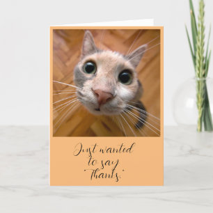 Kaart met oranje kat bedankt