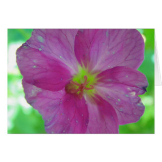 Kaart met roze gele game bloom, in blanco