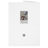 Kaart met tapesets (Achterkant)