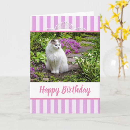 Kaart met witte kat met roze kant (Gele Bloem)