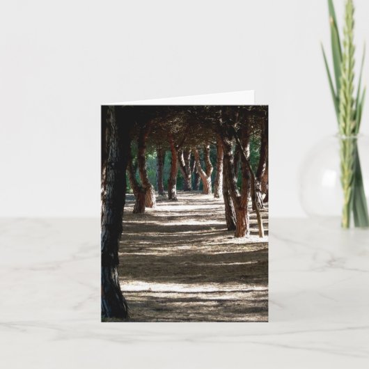 Kaart: Minorca Wood Kaart (Voorkant)