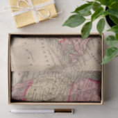 Kaart Noord-Amerika van Mitchell Tissuepapier (Geschenk)