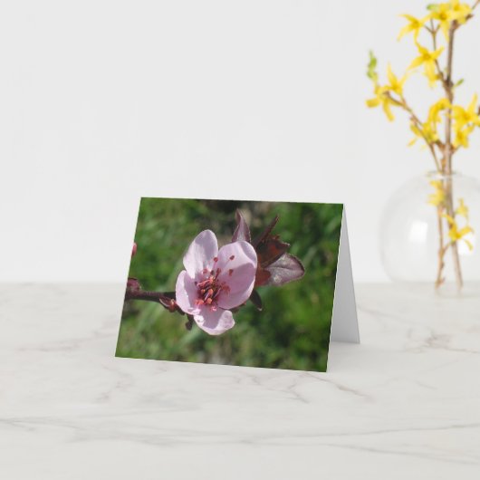 Kaart - noot - Roze Bloom (Gele Bloem)