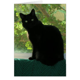 Kaart - Notitie - Zwarte kat in raam