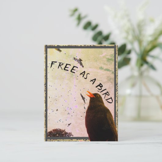 Kaart nr. 16: Vrij als vogel (Staand voorkant)