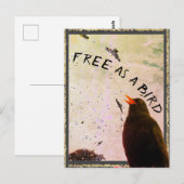 Kaart nr. 16: Vrij als vogel (Voorkant / Achterkant)