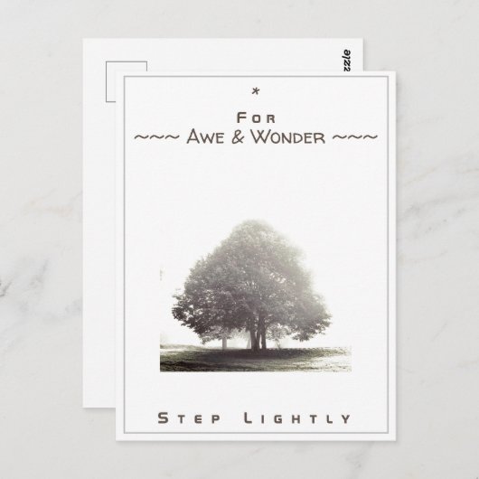 Kaart nr. 43: Voor Awe & Wonder Stap lichtjes (Voorkant / Achterkant)