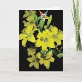 Kaart OES (Voorkant)