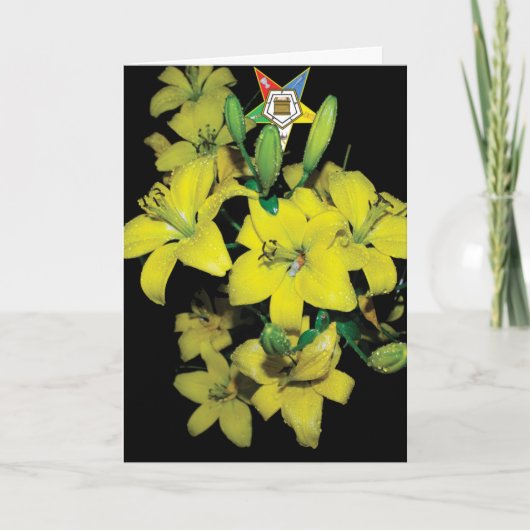 Kaart OES (Voorkant)