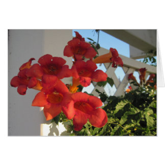 Kaart om een Bereaved Persoon op een Speciale Dag 