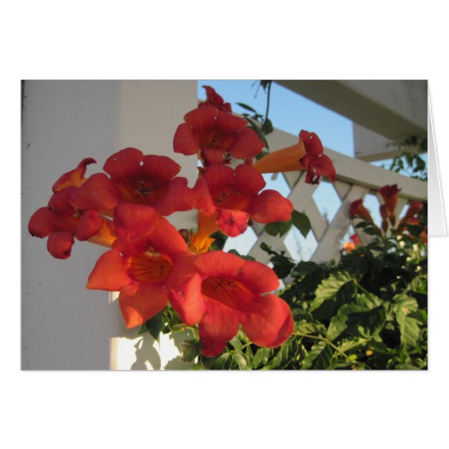 Kaart om een Bereaved Persoon op een Speciale Dag  (Voorkant Horizontaal)