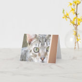 Kaart - Opmerking - Forlorn Kitten (Gele Bloem)