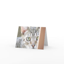 Kaart - Opmerking - Forlorn Kitten