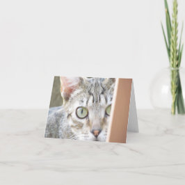 Kaart - Opmerking - Forlorn Kitten
