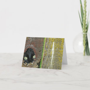 Kaart - Opmerking - zwarte kat die piept