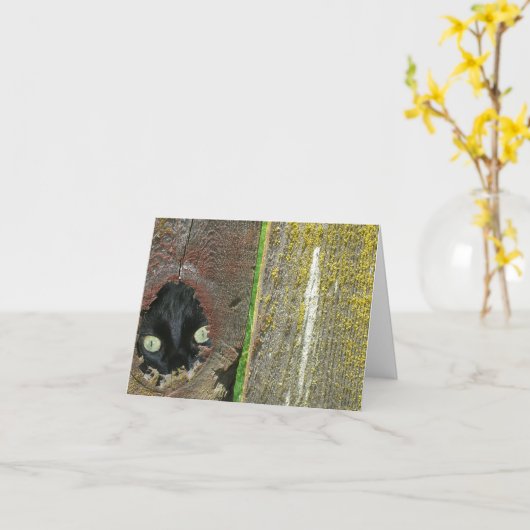 Kaart - Opmerking - zwarte kat peeking (Gele Bloem)
