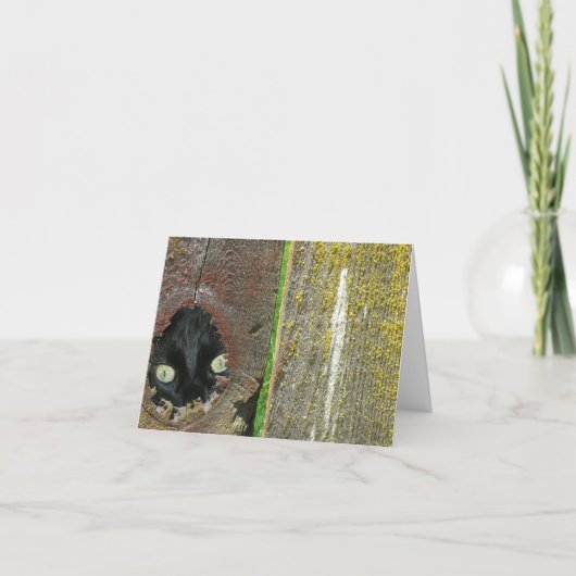 Kaart - Opmerking - zwarte kat peeking (Voorkant)