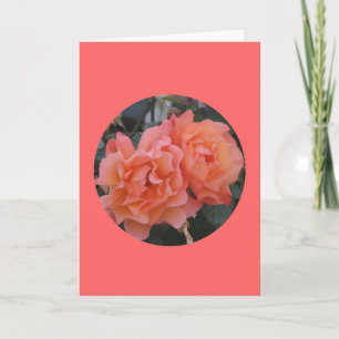 Kaart, "Oranje Roze Rozen in Cirkel" m-1 Kaart