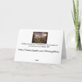 Kaart: Orchidee en kolibries Feestdagen Kaart (Achterkant)