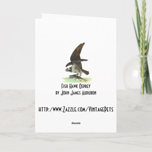 Kaart: Osprey - John Audubon Feestdagen Kaart (Achterkant)