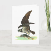 Kaart: Osprey - John Audubon Feestdagen Kaart (Voorkant)