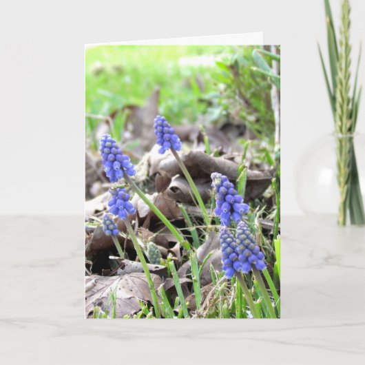 Kaart - Paasbloemen (Voorkant)