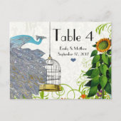 Kaart  pakje en vogelkooi (Voorkant)