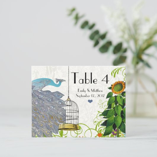 Kaart  pakje en vogelkooi (Staand voorkant)