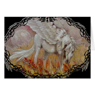 Kaart - Pegasus Wildflower Fields