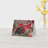 Kaart Pipevine Swallowtail (Gele Bloem)