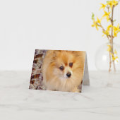 Kaart | Pommerse Kaart (Gele Bloem)