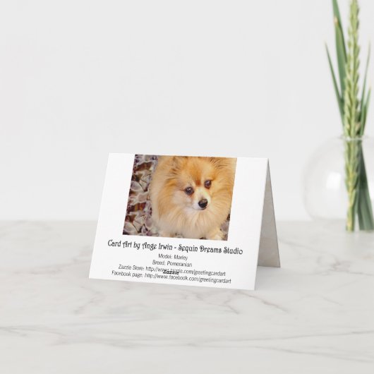 Kaart | Pommerse Kaart (Achterkant)