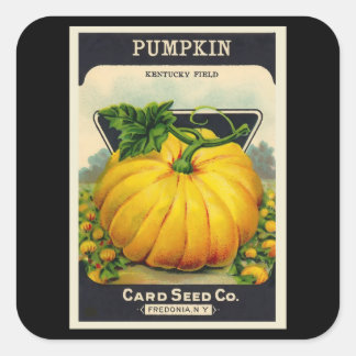  Kaart pompoenzaadpakket Vierkante Sticker