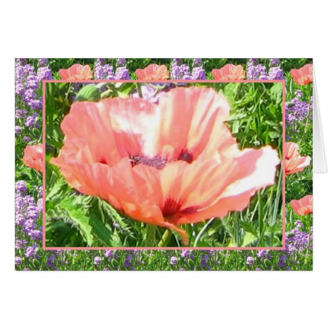 Kaart - Poppy Popped! (Voorkant Horizontaal)