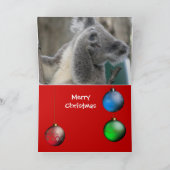 Kaart Prettig Kerstfeest Uit Australië Koala (Binnen)