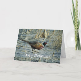 Kaart/ring-Necked Fazant/Vrolijke Kerstmis! Feestdagen Kaart