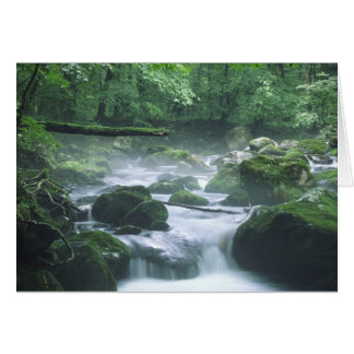 KAART - RIVER
