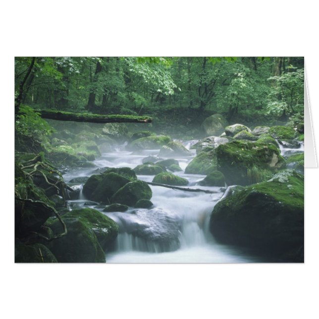 KAART - RIVER (Voorkant Horizontaal)