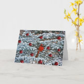Kaart rode kardinale sneeuw Ornamenten Pine Tree (Gele Bloem)