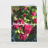 Kaart rode roze bloem  Rozen (Voorkant)