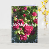 Kaart rode roze bloem Rozen (Gele Bloem)